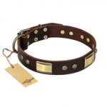"Rich Fashion" FDT Artisan Decorated Leather Sharpei Collar with Plates and Studs