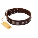 "Object of Virtu" FDT Artisan Brown Leather Sharpei Collar with Old Silver-like Square Studs and Pyramids