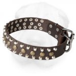 Genuine Leather Shar Pei Collar with Brass and Nickel Studs