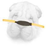 Small Leather Bite Tug for Shar Pei Puppies