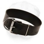 Extremely Wide Plain Design Shar Pei Collar Made of Full Grain Leather