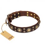 'Flower Melody' FDT Artisan Brown Leather Shar Pei Collar with Mixed Studs