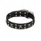 FDT Artisan 'Rock 'n' Roll Style' Fancy Leather Shar Pei Collar with Skulls, Bones and Studs 1 1/2 inch (40 mm) wide
