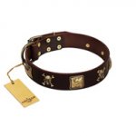 "Crazy Pirate" FDT Artisan Brown Leather Sharpei Collar with Old Bronze-Plated Skulls and Plates