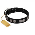 "Magic Amulete" Handcrafted FDT Artisan Black Leather Sharpei Collar with Chrome-Plated Shields