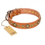 "Feast of Luxury" FDT Artisan Tan Leather Sharpei Collar with Old Bronze Look Circles