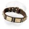 Spiked Leather Collar with Massive Brass Plates&Spikes