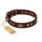 "Old-fashioned Glamor" FDT Artisan Brown Leather Sharpei Collar with Old Bronze Look Plates and Circles