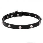 Genuine Leather Collar with Chrome Plated Pyramids