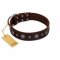 "Pure Sensation" Exclusive FDT Artisan Brown Leather Sharpei Collar with Fancy Brooches and Studs