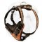 Heavy Duty Leather Harness for Shar Pei Red Flames Painted