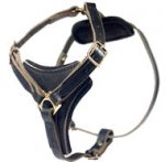 Latigo Adjustable Harness-Sharpei Leather Harness