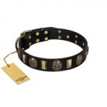"Sea Romance" FDT Artisan Black Leather Sharpei Collar with Plates and Skulls