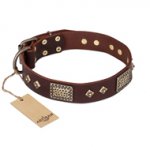 "Loving Owner" FDT Artisan Decorated Leather Sharpei Collar with Plates and Studs