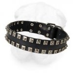 Shar-Pei Collar with "Caterpillar" Decoration