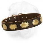 Vintage Shar-Pei Collar with Oval Brass Plates