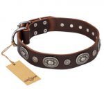 "Extra Pizzazz" FDT Artisan Adorned Brown Leather Sharpei Collar