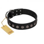 "Silent Star" Handmade FDT Artisan Designer Black Leather Sharpei Collar with Engraved Plates