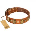 "Crystal Sand" FDT Artisan Tan Leather Sharpei Collar with Vintage Looking Oval and Round Studs