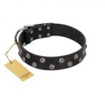 "Power-Flower" FDT Artisan Black Leather Sharpei Collar with Two Rows of Silver-like Studs with Engraved Flowers