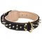 Spiked Shar-Pei Collar with Nappa Padding