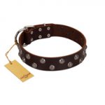 "Blossom Jewel" FDT Artisan Brown Leather Sharpei Collar with Two Rows of Silver-like Studs with Engraved Flowers