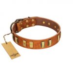 "Olive Slice" FDT Artisan Tan Leather Sharpei Collar with Engraved and Smooth Plates