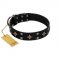 "Snappy Dresser" FDT Artisan Black Leather Sharpei Collar Adorned with Stars and Tiny Squares