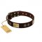 "Bow-Wow Effect" FDT Artisan Brown Leather Sharpei Collar with Plates and Ornate Studs