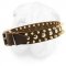 Brass Spikes and Nickel Studs Decorated Wide Leather Collar for Shar Pei Breed