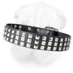 Stylish Shar Pei Collar with Nickel Studs