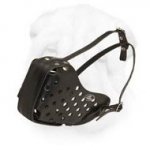 Durable Leather Muzzle for Shar Pei with Steel Bar Reinforcement
