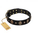 Pirate's Spell' FDT Artisan Black Leather Sharpei Collar with Engraved Studs and Medallions