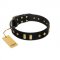 "De Luxe" FDT Artisan Black Leather Sharpei Collar with Old Bronze-like Plates and Studs