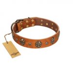 "Rockstar" FDT Artisan Tan Leather Sharpei Collar with Engraved Studs and Medallions