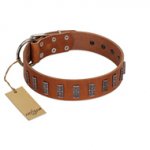 "Silver Century" Fashionable FDT Artisan Tan Leather Sharpei Collar with Silver-Like Plates