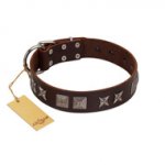 "Needle Stories" Modern FDT Artisan Brown Leather Sharpei Collar with Square Engraved Plates and Four-Point Stars