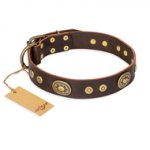 "One-of-a-Kind" FDT Artisan Handmade Decorated Brown Leather Sharpei Collar