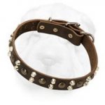 Wide Leather Buckle Collar with Staggered-Order Metal Ornament for Shar Pei