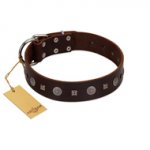 "Pure Sensation" Exclusive FDT Artisan Brown Leather Sharpei Collar with Fancy Brooches and Studs