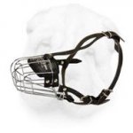 Comfortable Everyday Wire Cage Muzzle for Shar Pei