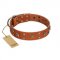 "Faraway Galaxy" FDT Artisan Tan Leather Sharpei Collar Adorned with Stars and Squares