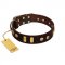 "Lord of Dogs" FDT Artisan Brown Leather Sharpei Collar with Old Bronze-like Dotted Studs and Tiles