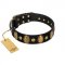 "Venerable Pawty" FDT Artisan Black Leather Sharpei Collar with Old Bronze-like Ovals and Studs
