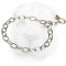 Chain Choke Collar for Shar Pei Behavior Correction, 1/9 inch (3 mm) Link Diameter