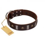 "War Chief" FDT Artisan Genuine Brown Leather Sharpei Collar with Skulls and Plates
