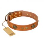 "Sun Beams" FDT Artisan Tan Leather Sharpei Collar with Decorations