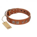 "Antique Figures" FDT Artisan Tan Leather Sharpei Collar with Silver-like Engraved Plates