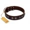 "King Arthur" FDT Artisan Brown Leather Sharpei Collar with Spiky Plates