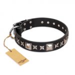 'Space Walk' FDT Artisan Black Leather Shar Pei Dog Collar with Adornments